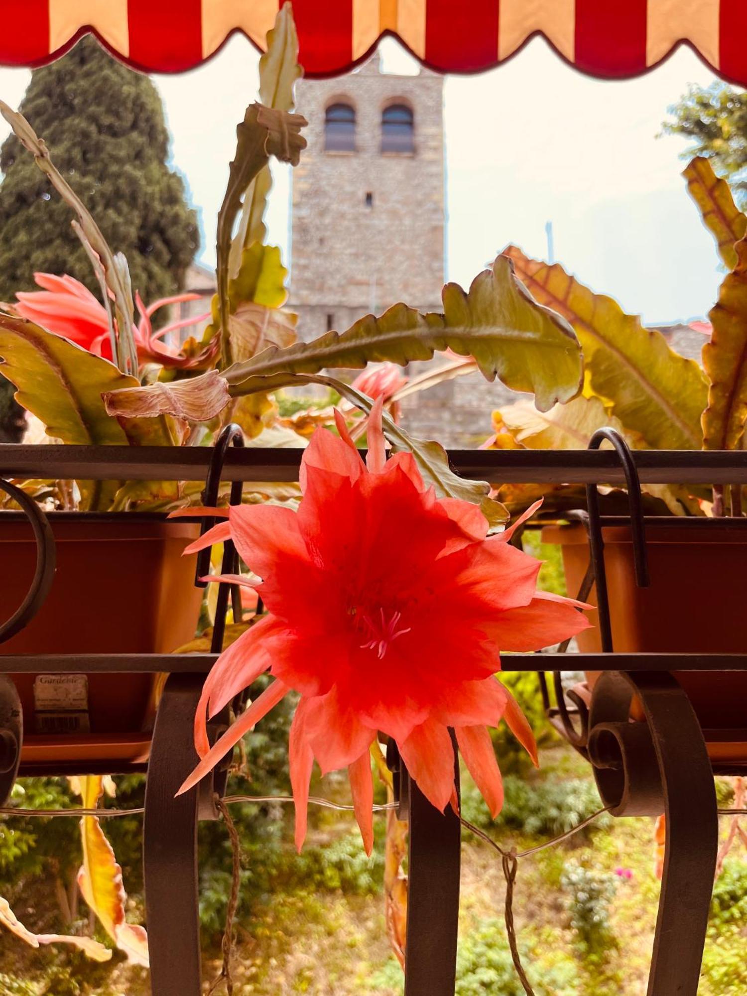 Bed and Breakfast The Tower Of The Old King Desenzano del Garda Exterior foto