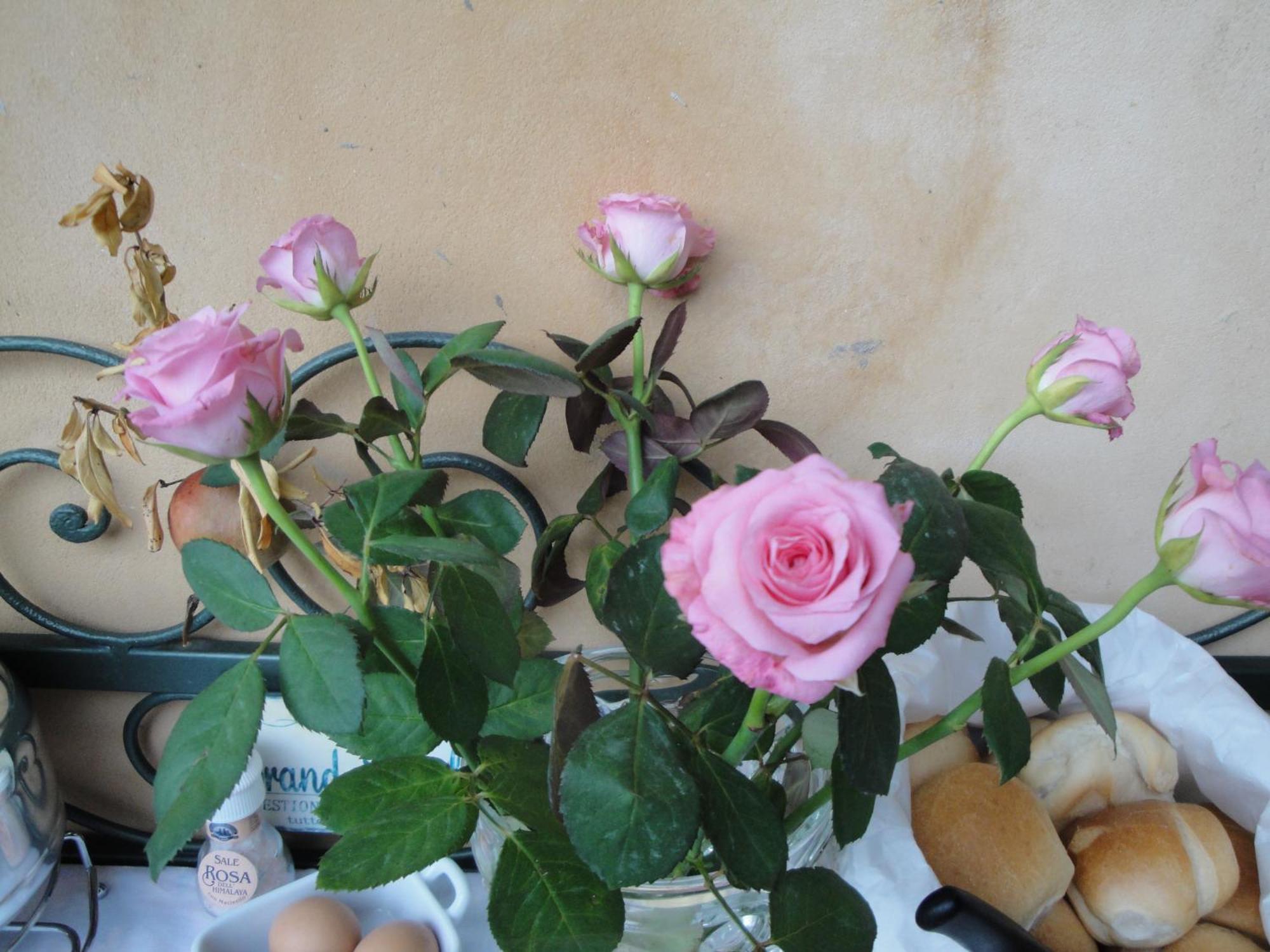 Bed and Breakfast The Tower Of The Old King Desenzano del Garda Exterior foto